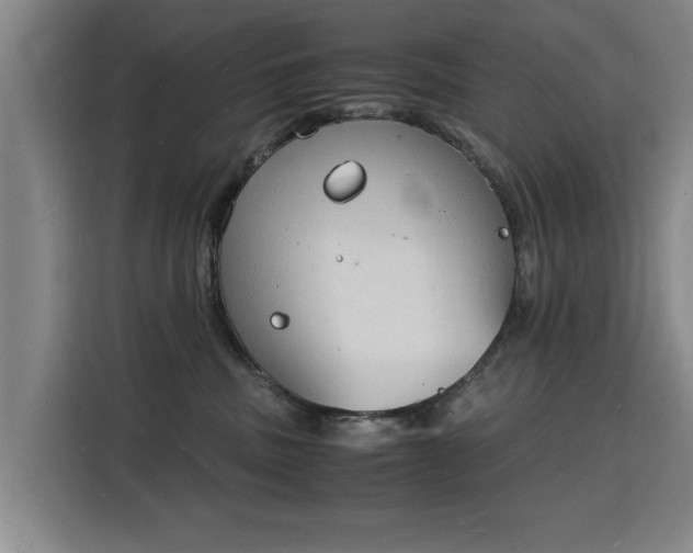 X0000115840379200911201557
