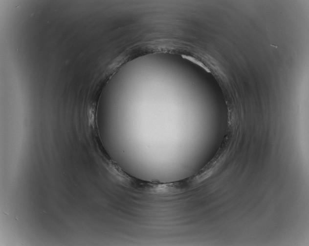 X0000115840382200911201557