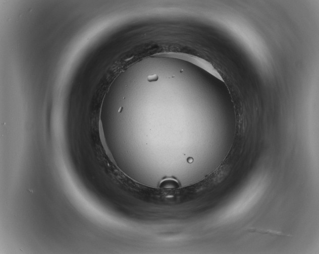 X0000115840383200911201557