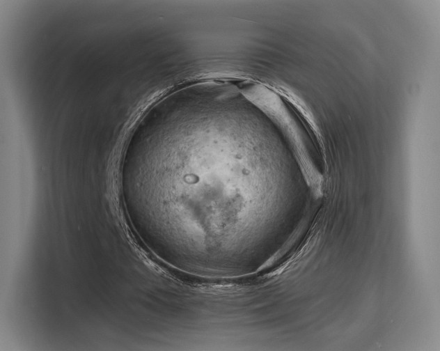 X0000115840385200911201557