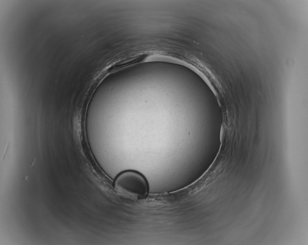X0000115840386200911201557