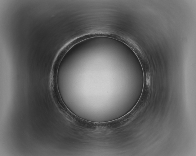 X0000115840388200911201557