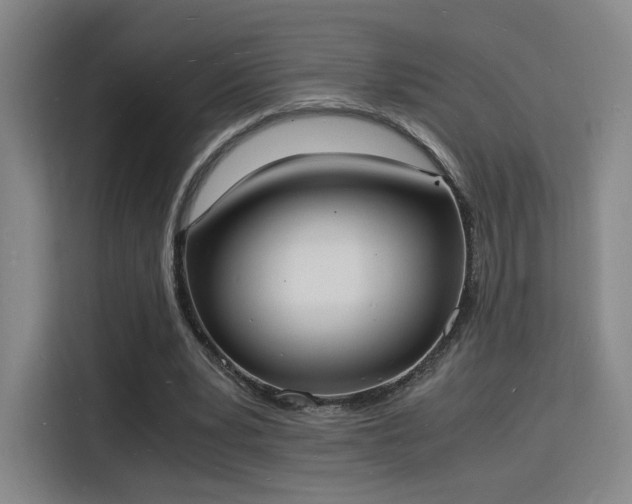 X0000115840391200911201557