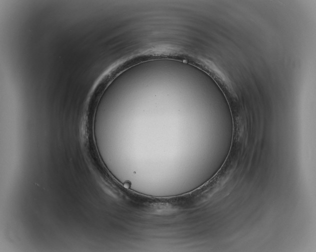 X0000115840392200911201557