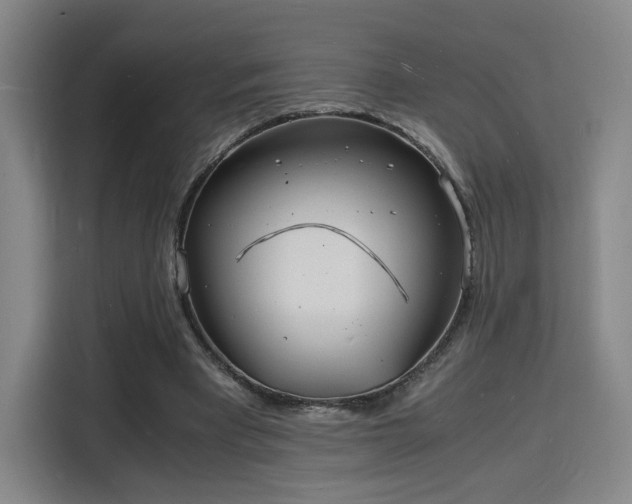 X0000115840393200911201557