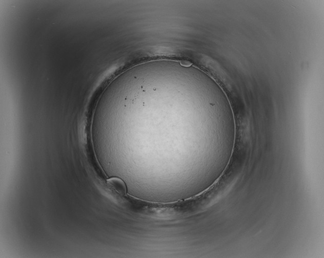 X0000115840395200911201557