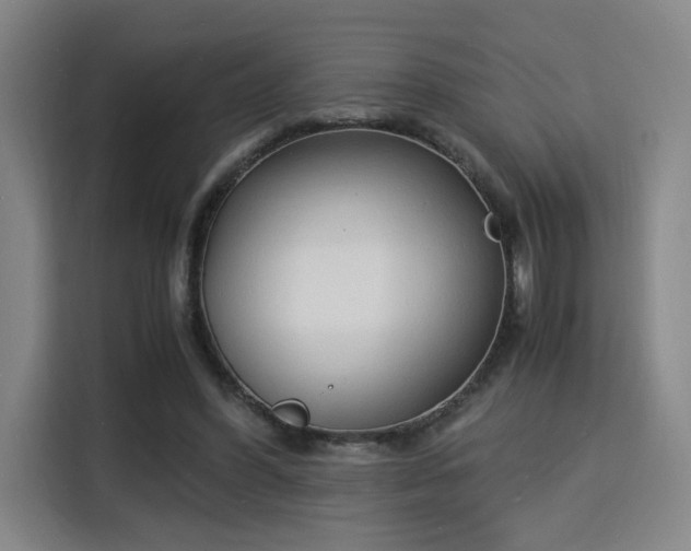 X0000115840396200911201557