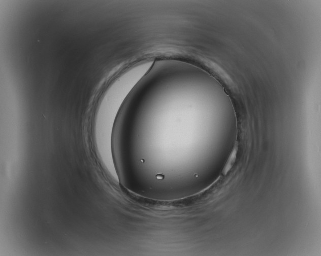X0000115840399200911201557