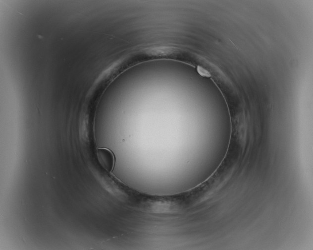 X0000115840400200911201557