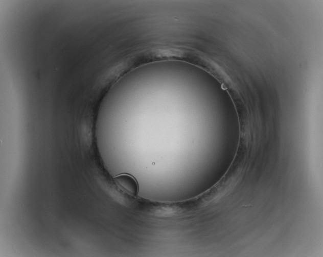 X0000115840402200911201557