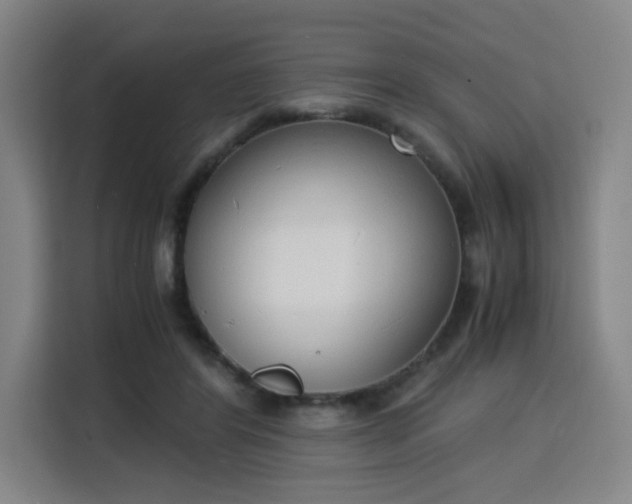 X0000115840404200911201557