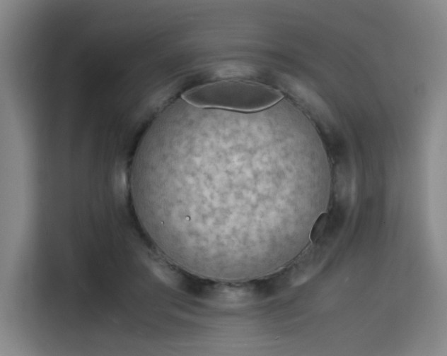 X0000115840405200911201557