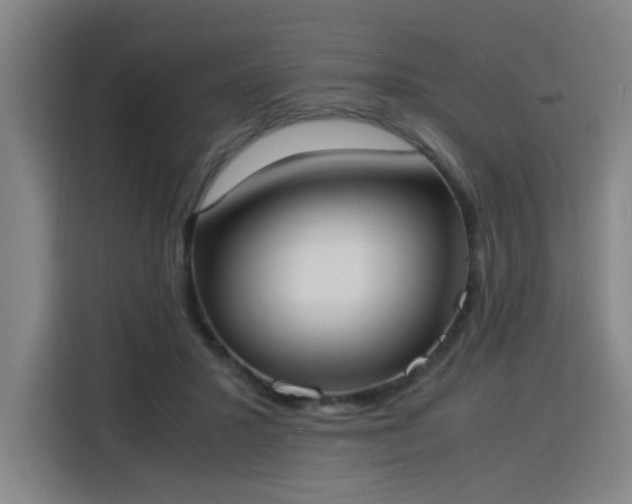 X0000115840407200911201557