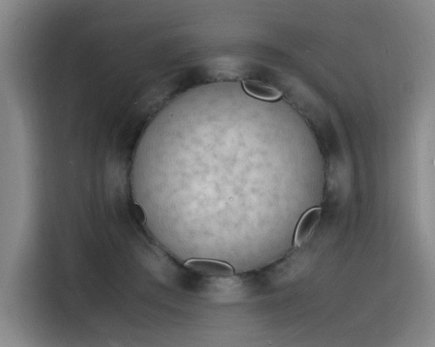 X0000115840409200911201557