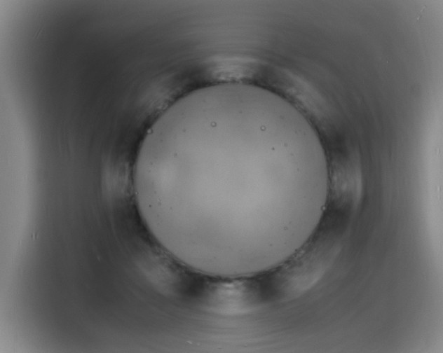 X0000115840411200911201557