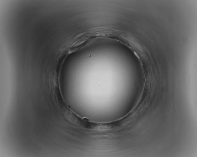 X0000115840413200911201556
