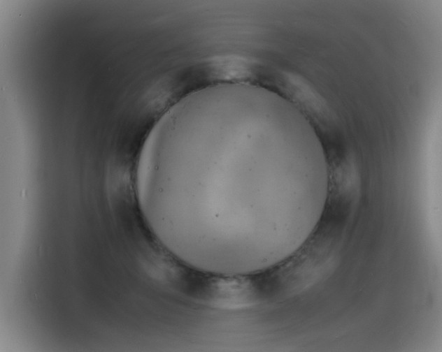 X0000115840415200911201556