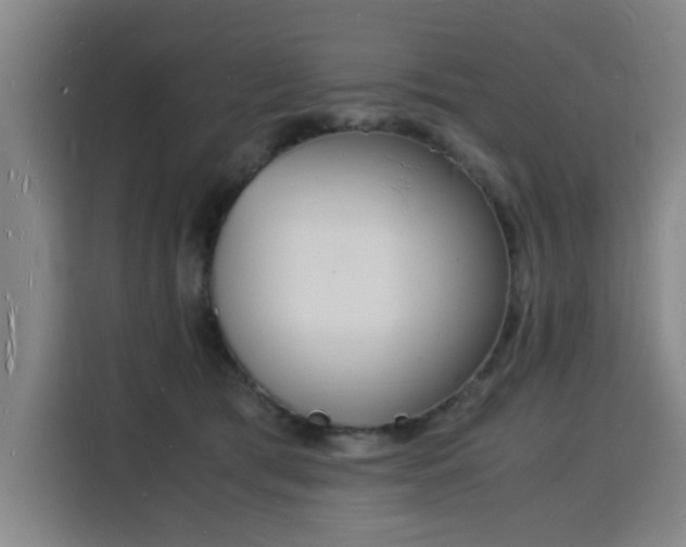 X0000115840417200911201556