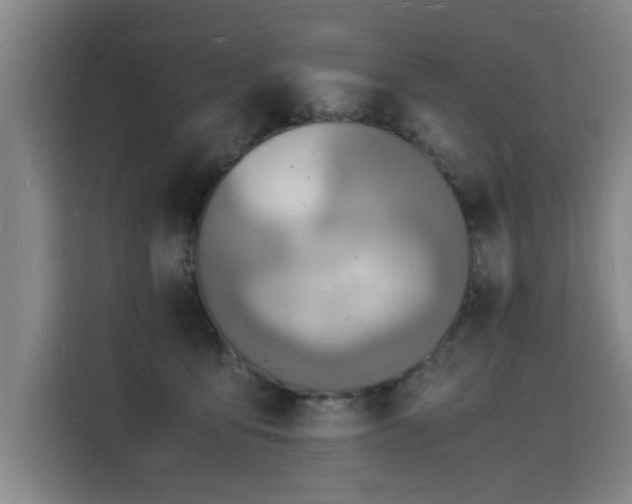 X0000115840419200911201556