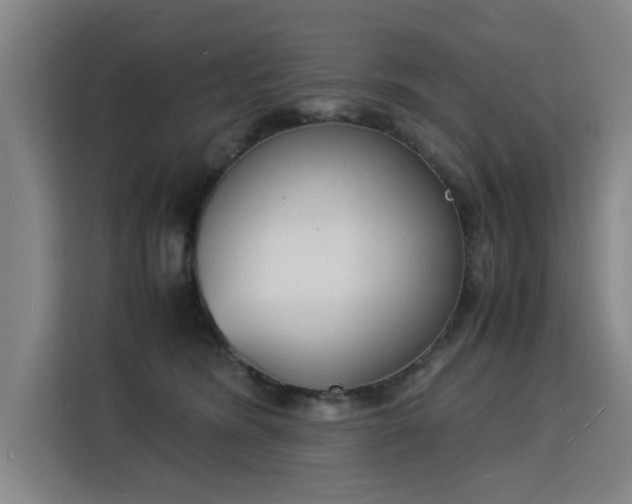 X0000115840420200911201556