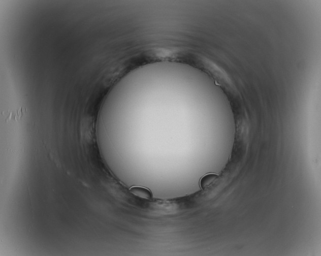 X0000115840421200911201556
