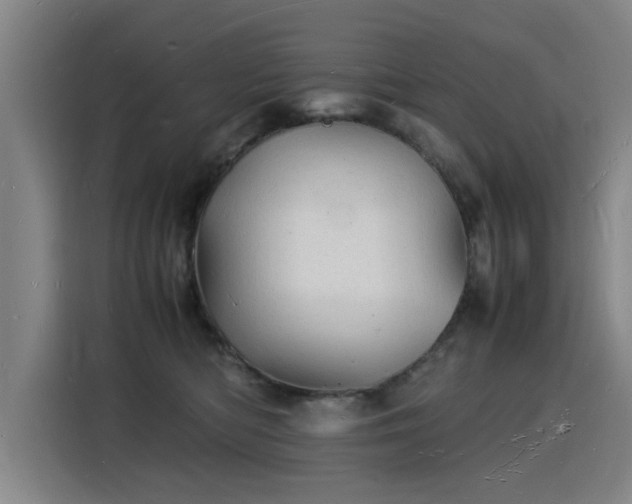 X0000115840422200911201556