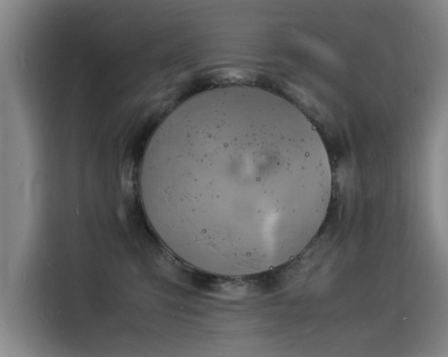 X0000115840423200911201556