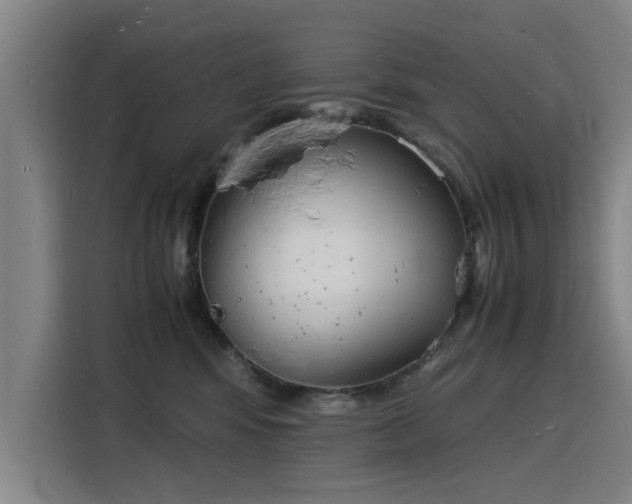 X0000115840424200911201556