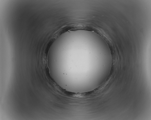 X0000115840425200911201556