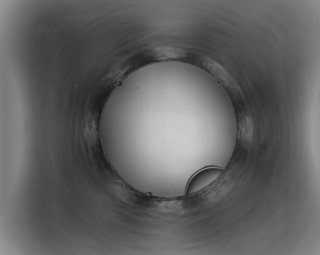 X0000115840426200911201556