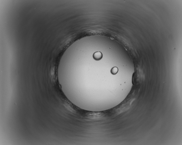 X0000115840428200911201556