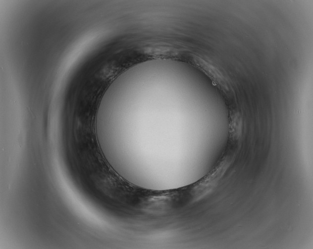 X0000115840430200911201556