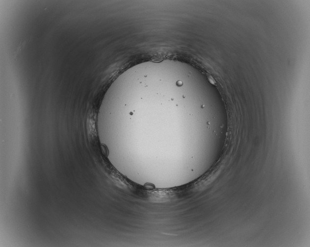 X0000115840432200911201556