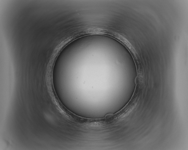 X0000115840433200911201556