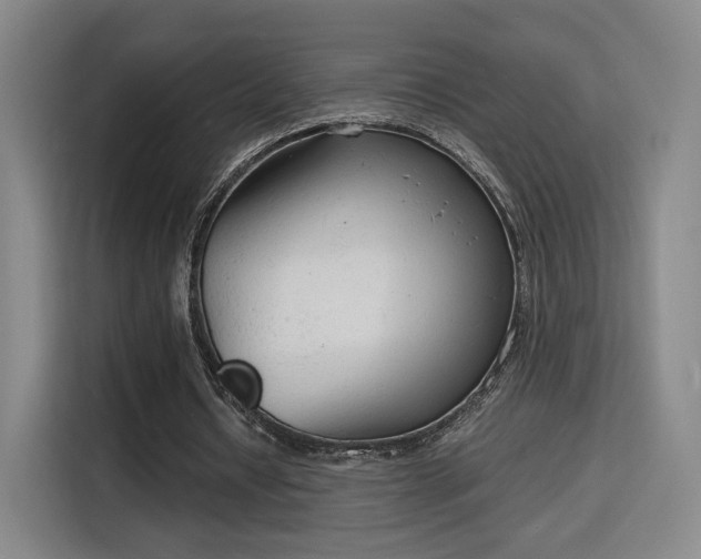 X0000115840434200911201556