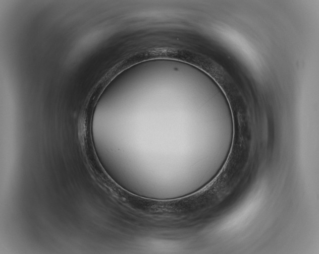 X0000115840435200911201556