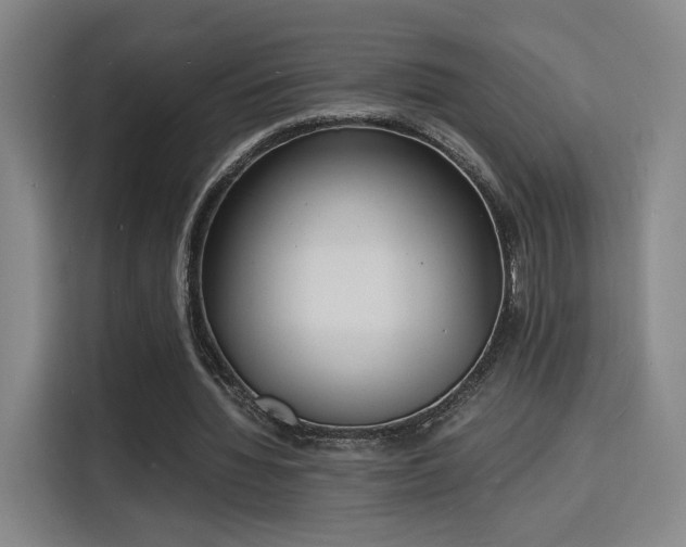 X0000115840436200911201556