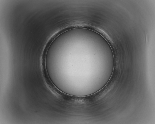 X0000115840439200911201556