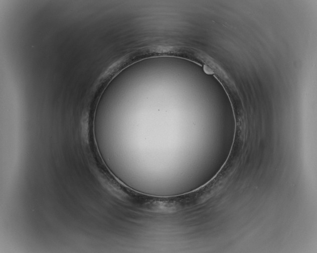 X0000115840442200911201556