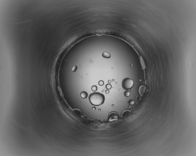 X0000115840443200911201556