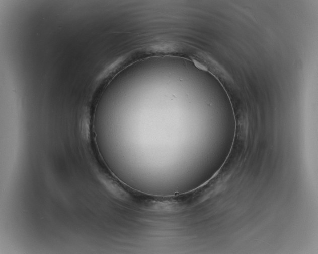 X0000115840446200911201556