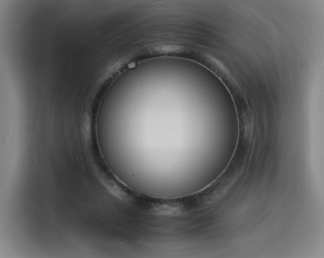 X0000115840447200911201556