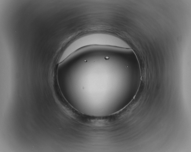 X0000115840448200911201556