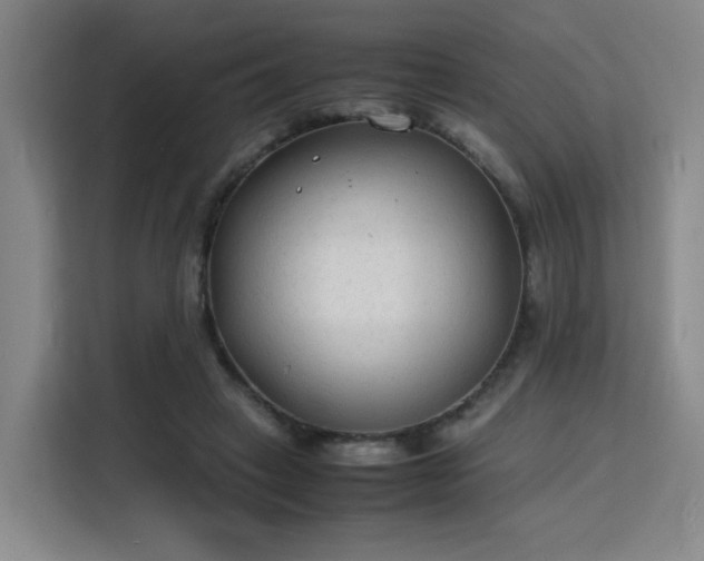 X0000115840449200911201556