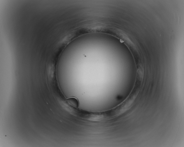 X0000115840458200911201556