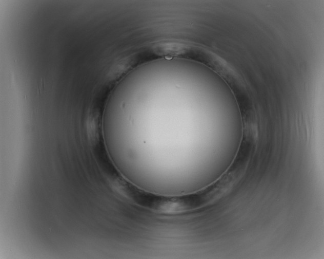X0000115840460200911201556