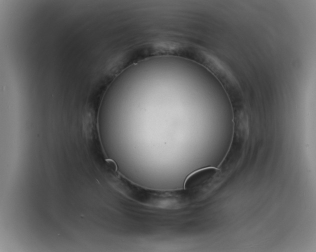 X0000115840463200911201556