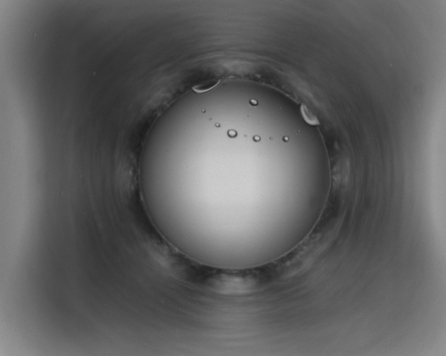 X0000115840464200911201556