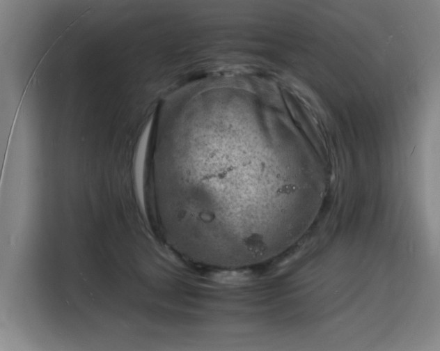 X0000115840465200911201556