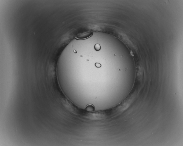X0000115840466200911201556